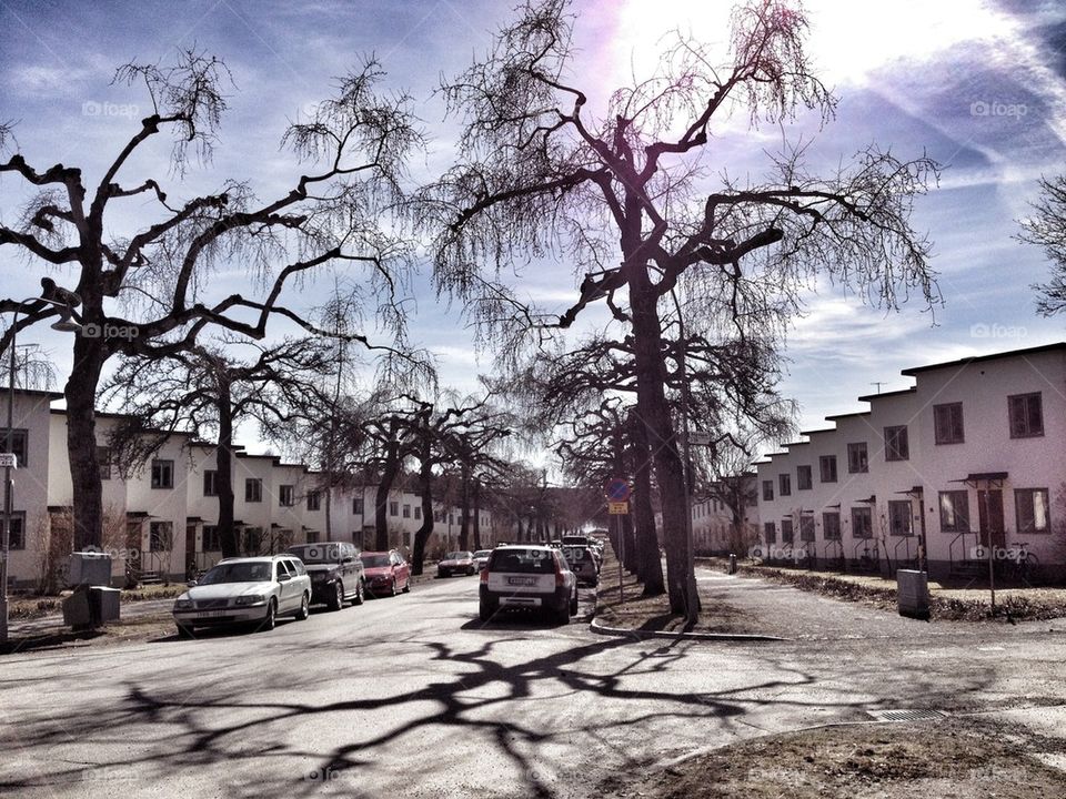 suburban street sweden