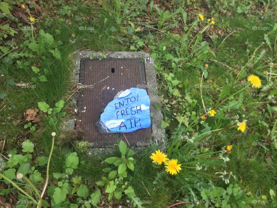 Stone painted with "Enjoy the Fresh Air" in a Garden 