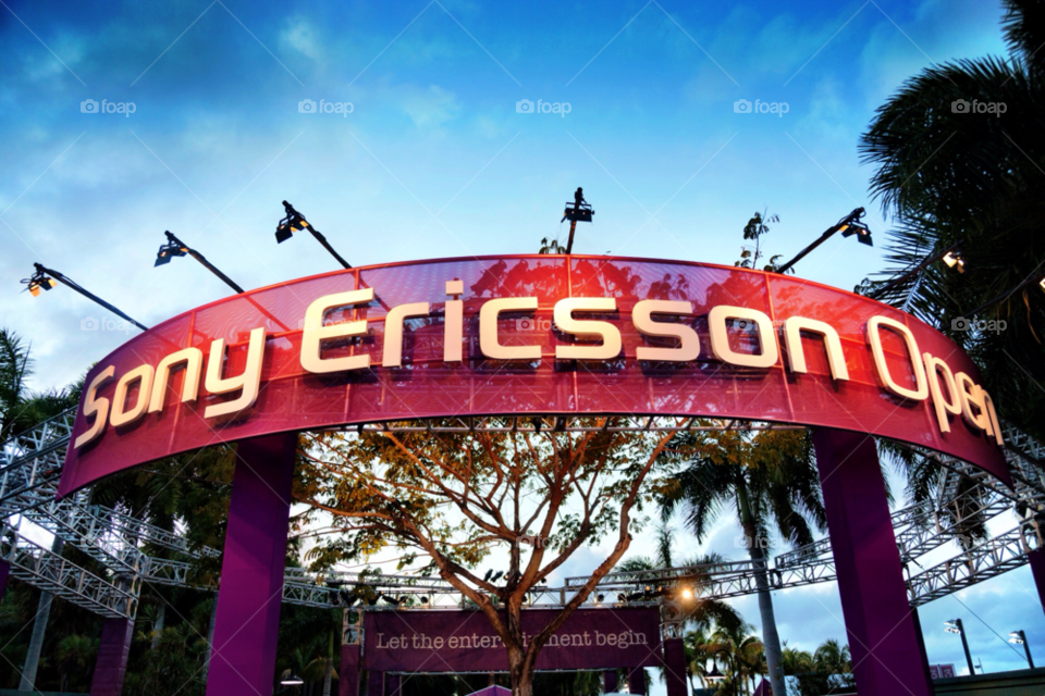 sign tree usa lamp by jmsilva59