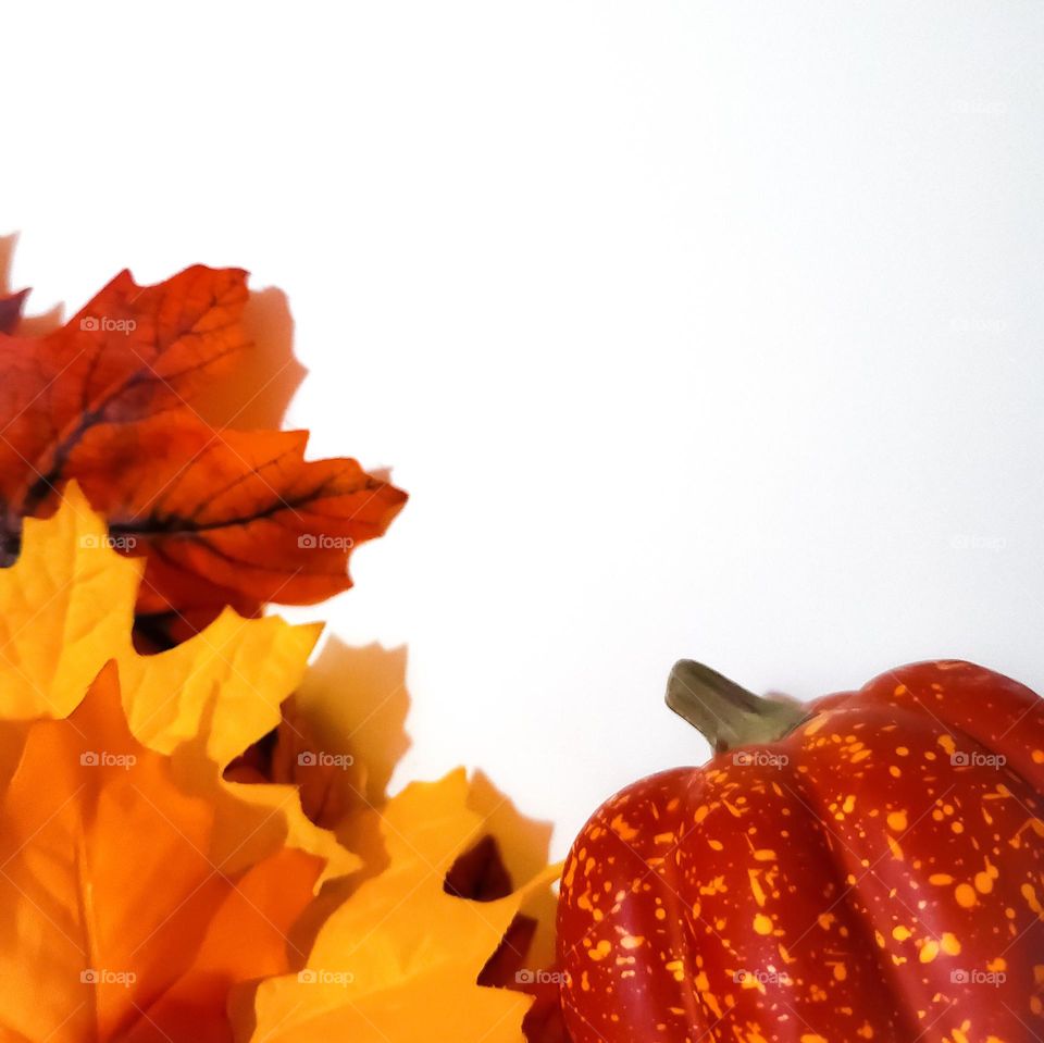 Autumn/Fall theme with faux pumpkin and faux fall leaves on a white backgrounds.