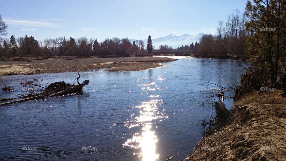 Bitterroot River