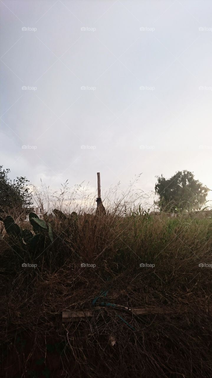 between earth and sky