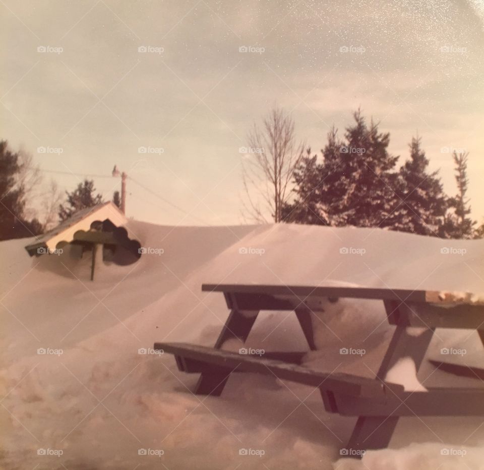Picnic table, blizzard 1978.