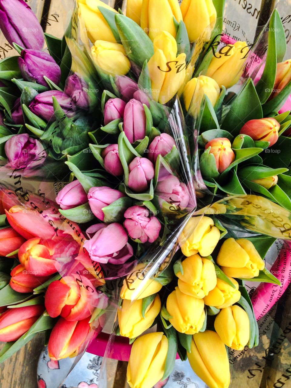 colourful tulips