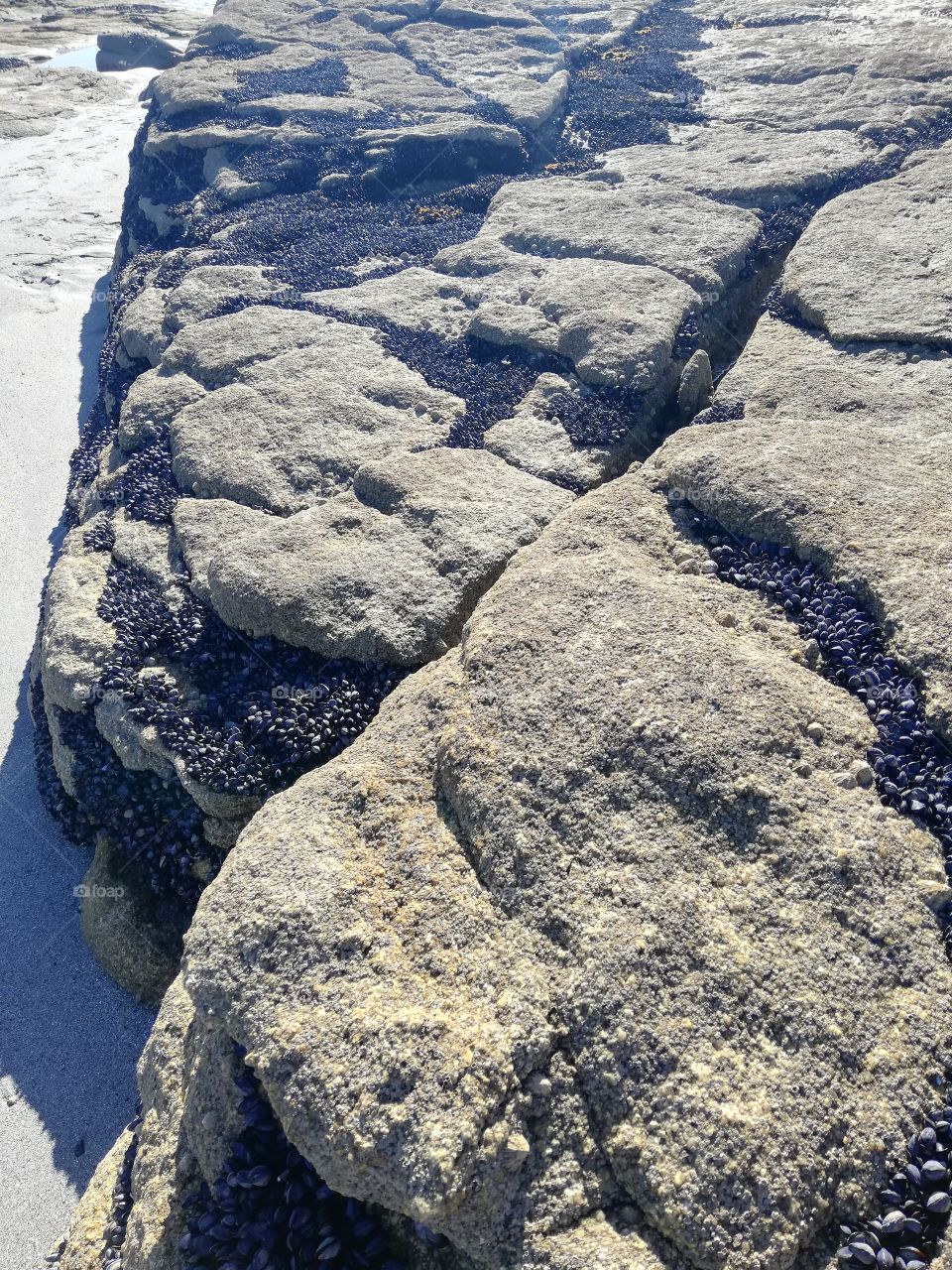 Rocher et plage bretonne
