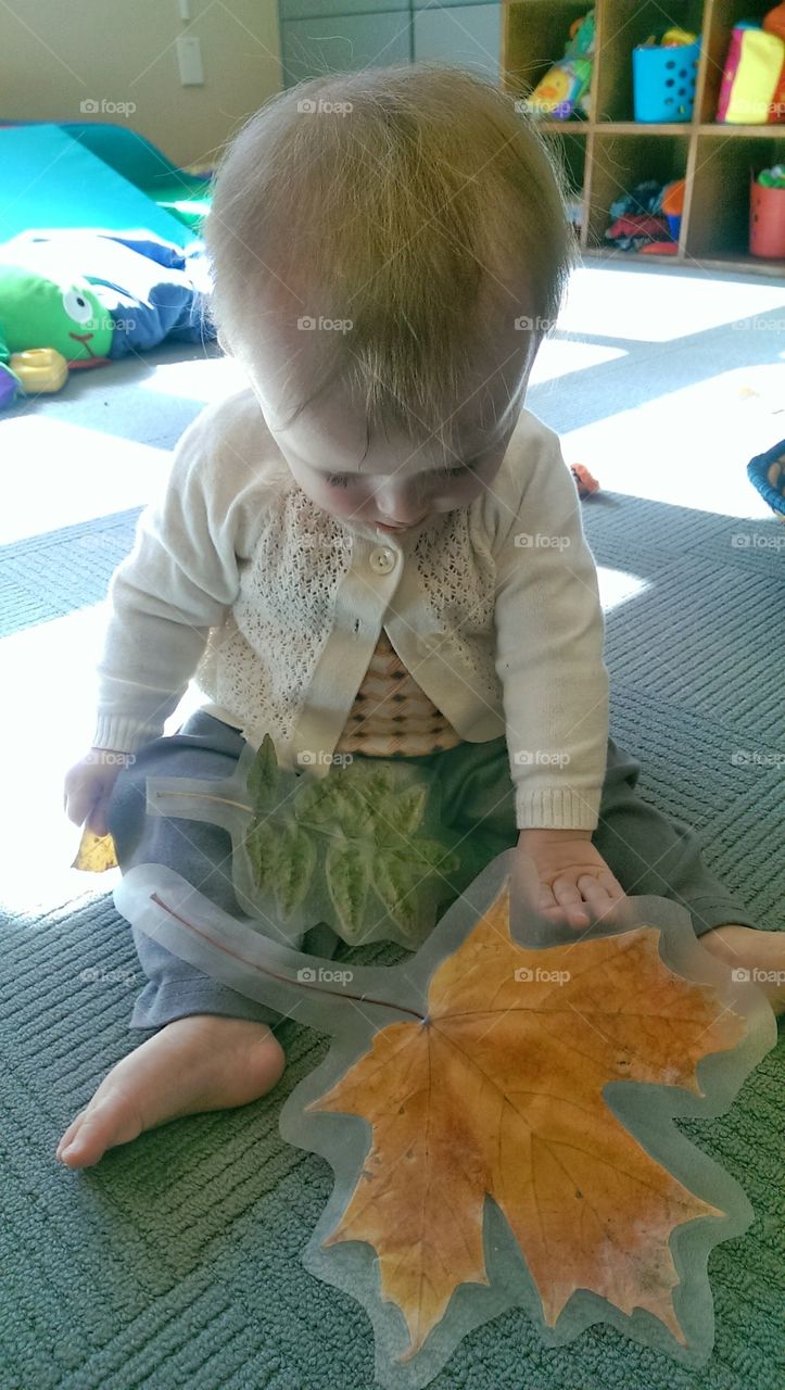 Baby Exploring Leaves