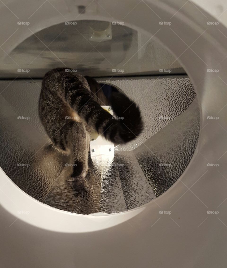 Move Away From the Light