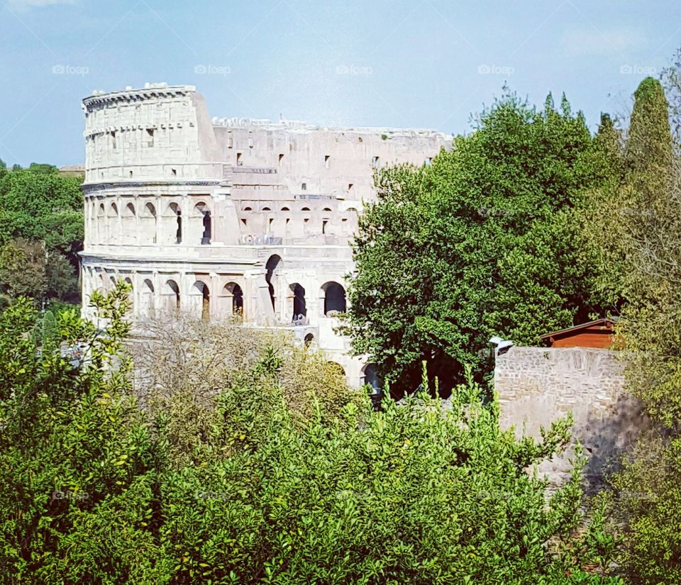 The Coliseum, Rome