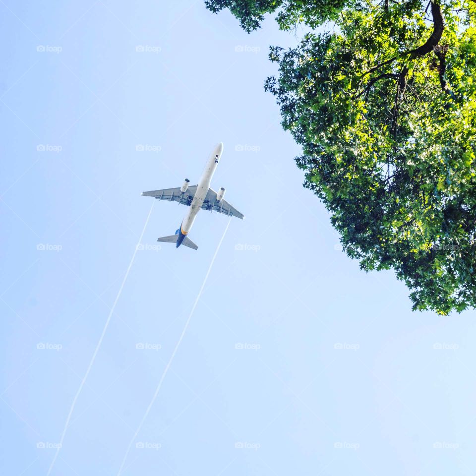 Airplane over trees