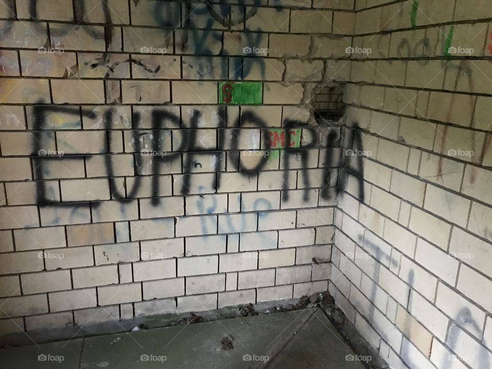 Graffiti in Fort Revere