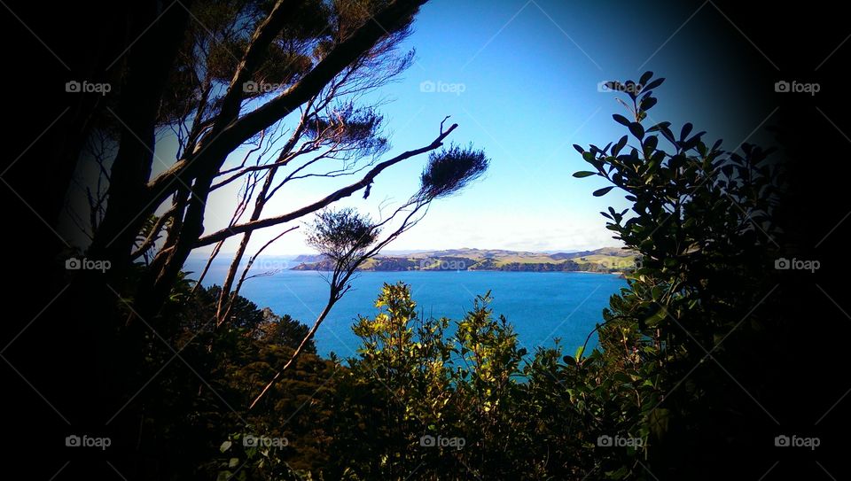 gorgous weiheke island. the landscape of weiheke island is incredible