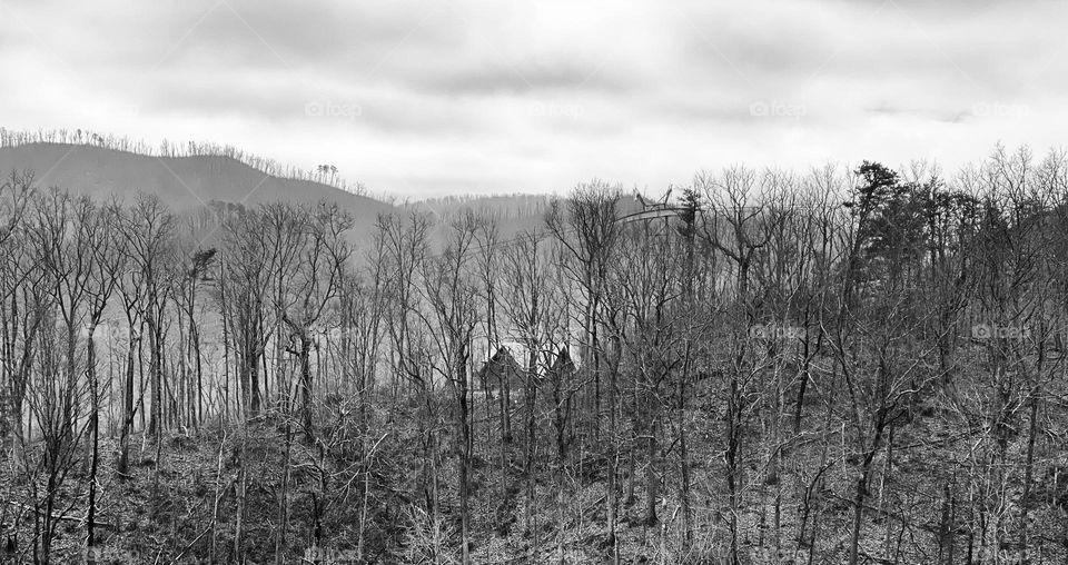 In the middle of nowhere 