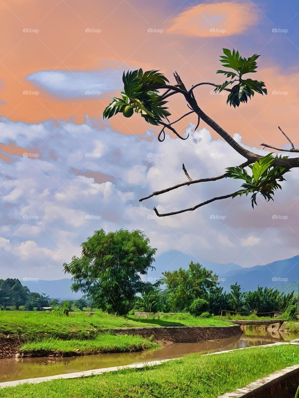 Mountain landscape looks far away, mountains look blue, sunny weather, view of lush trees, green tree leaves, white clouds, light brown sky and flowing river water, mountain vallet countryside, fresh and healthy environment, natural landscpace, mount