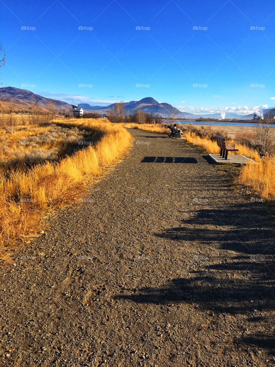 Beautiful fall walk! 