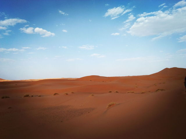 desert