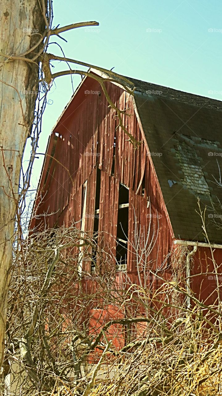 Old Plank Barn