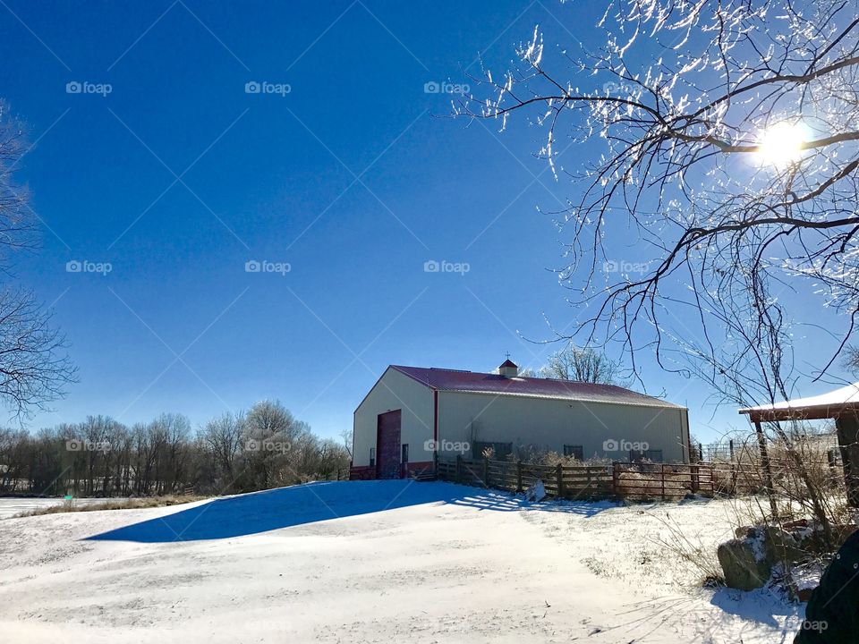 Winter Story, cold, winter, rural, frozen, corral, barn, wall, gate, entrance, door, doors, sun, bright, crisp, overgrown, snow,