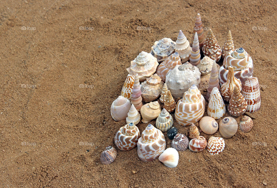 Village made of sea shells at the beach