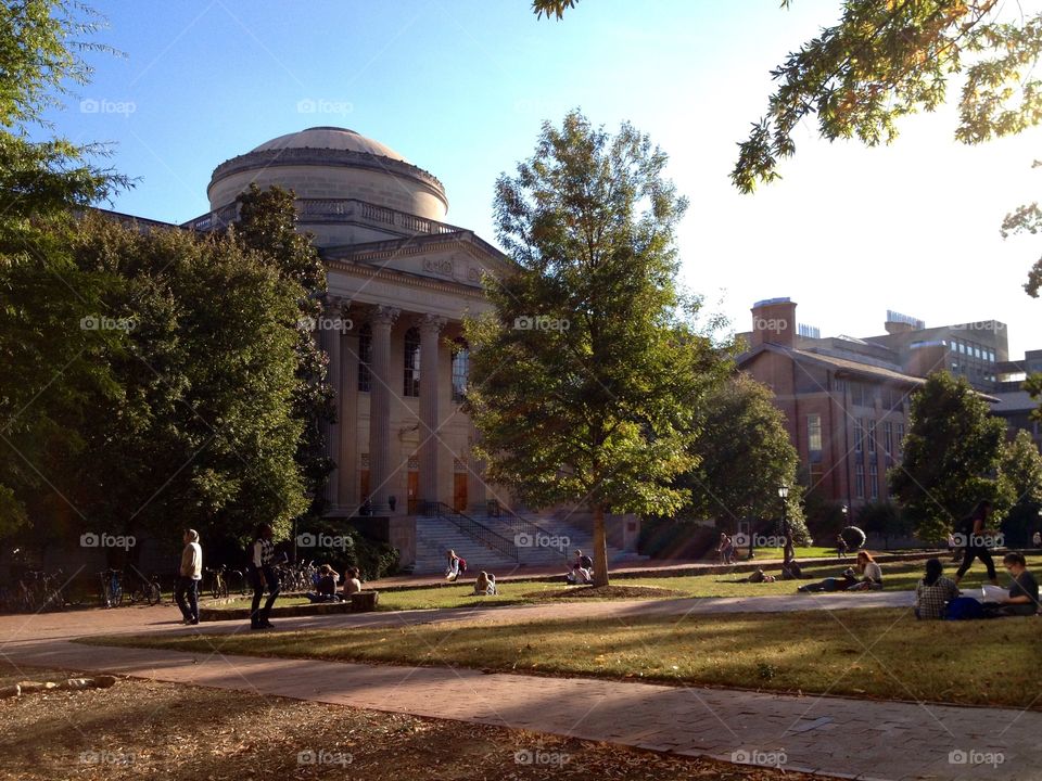 College campus. Sunny day on the UNC Chapel Hill Quad