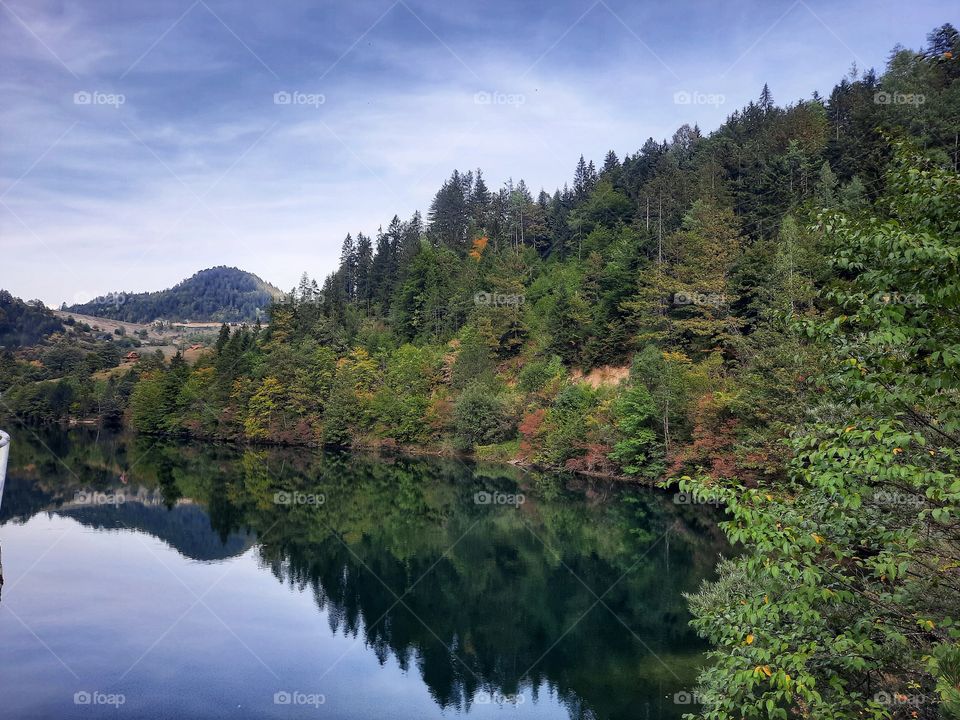 The kiss of water and trees