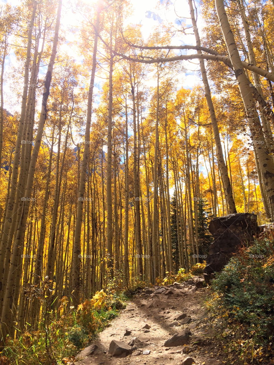 Hiking trail in Colorado 