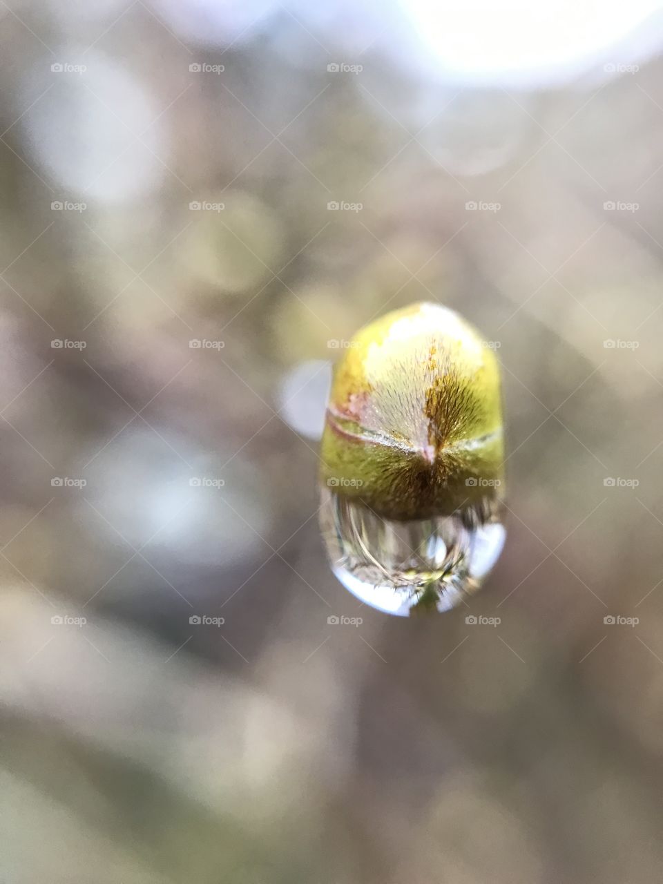 A drop macro