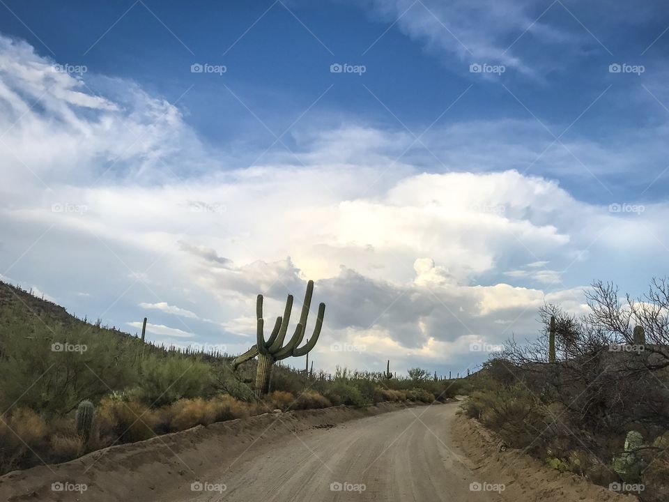 Dirt Road 