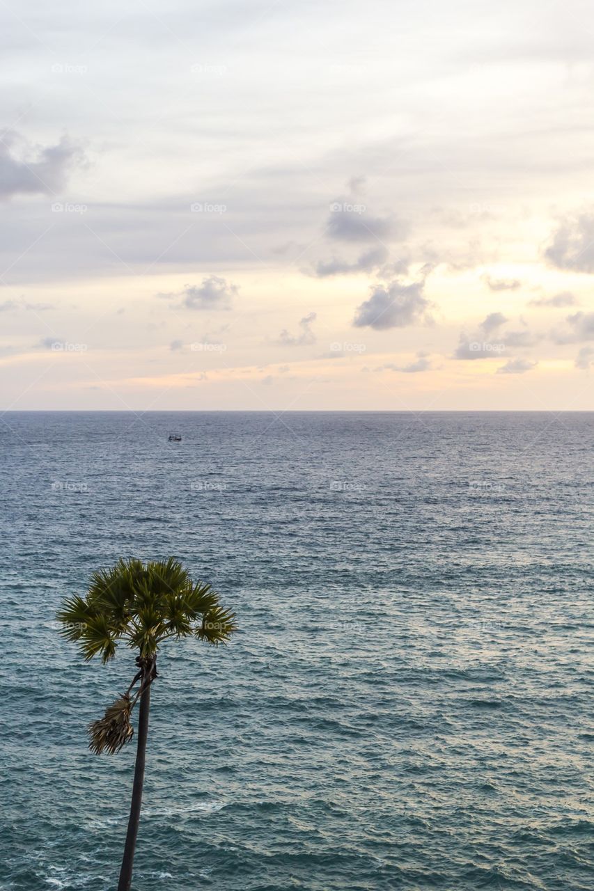 Seascape with Palm tree