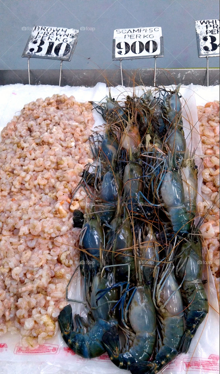 Fresh Shrimps,prawns,lobster live stock .Ready to grab 😉