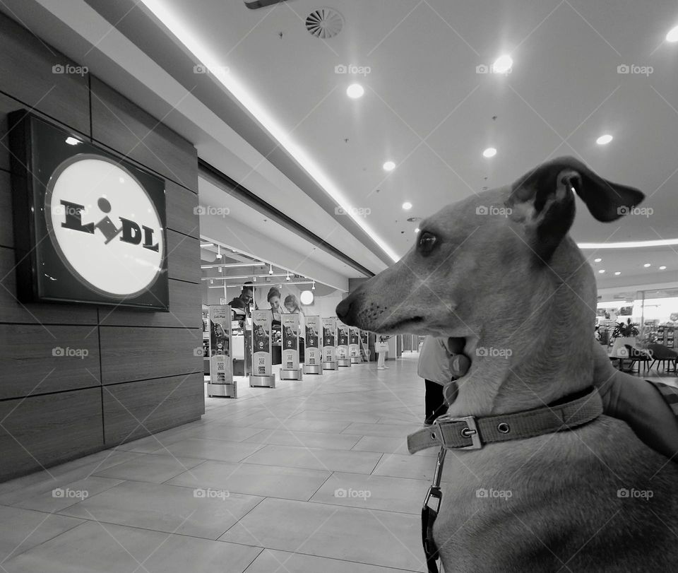 waiting for my daddy !