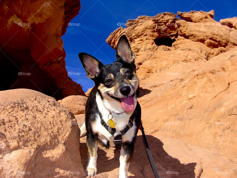 Valley of Fire