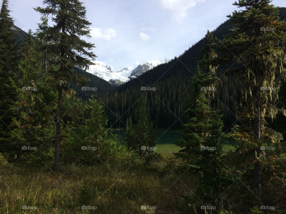 Beautiful British Columbia.