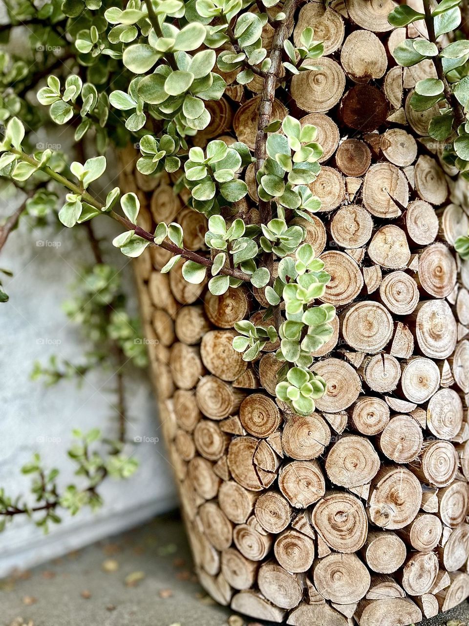 Wood Planter Flower Pot