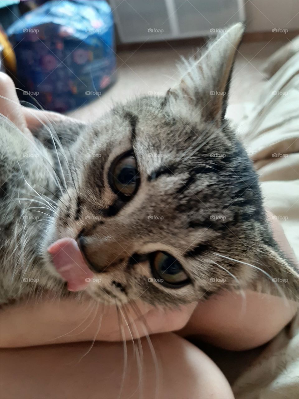 Внуснотища!