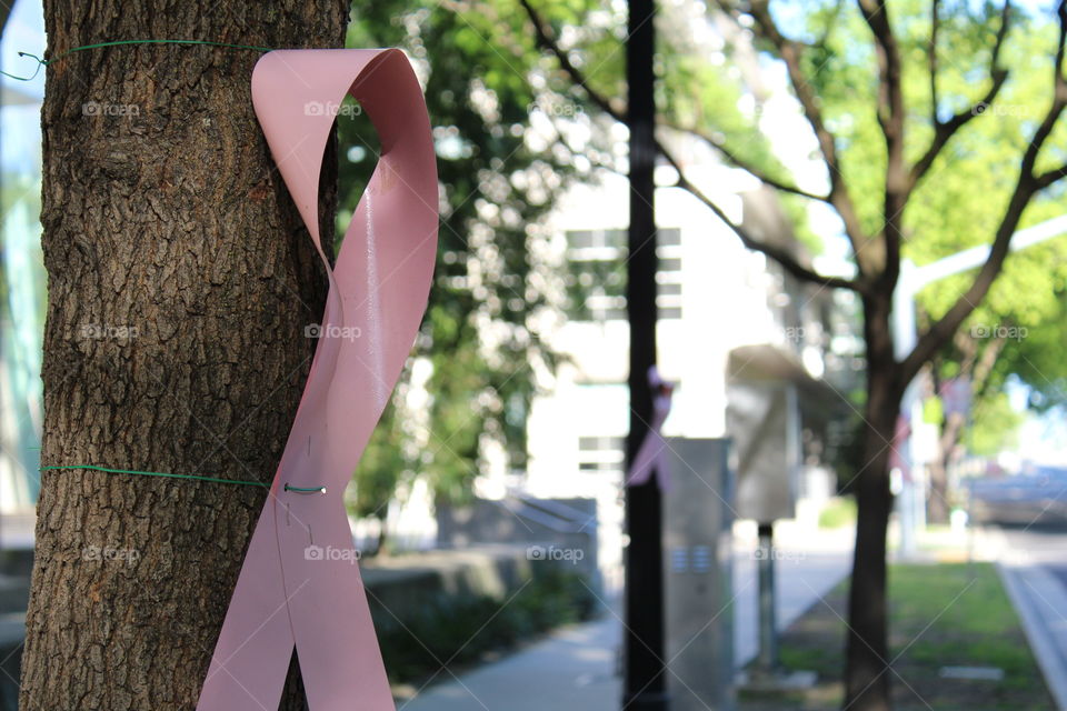 pink ribbon