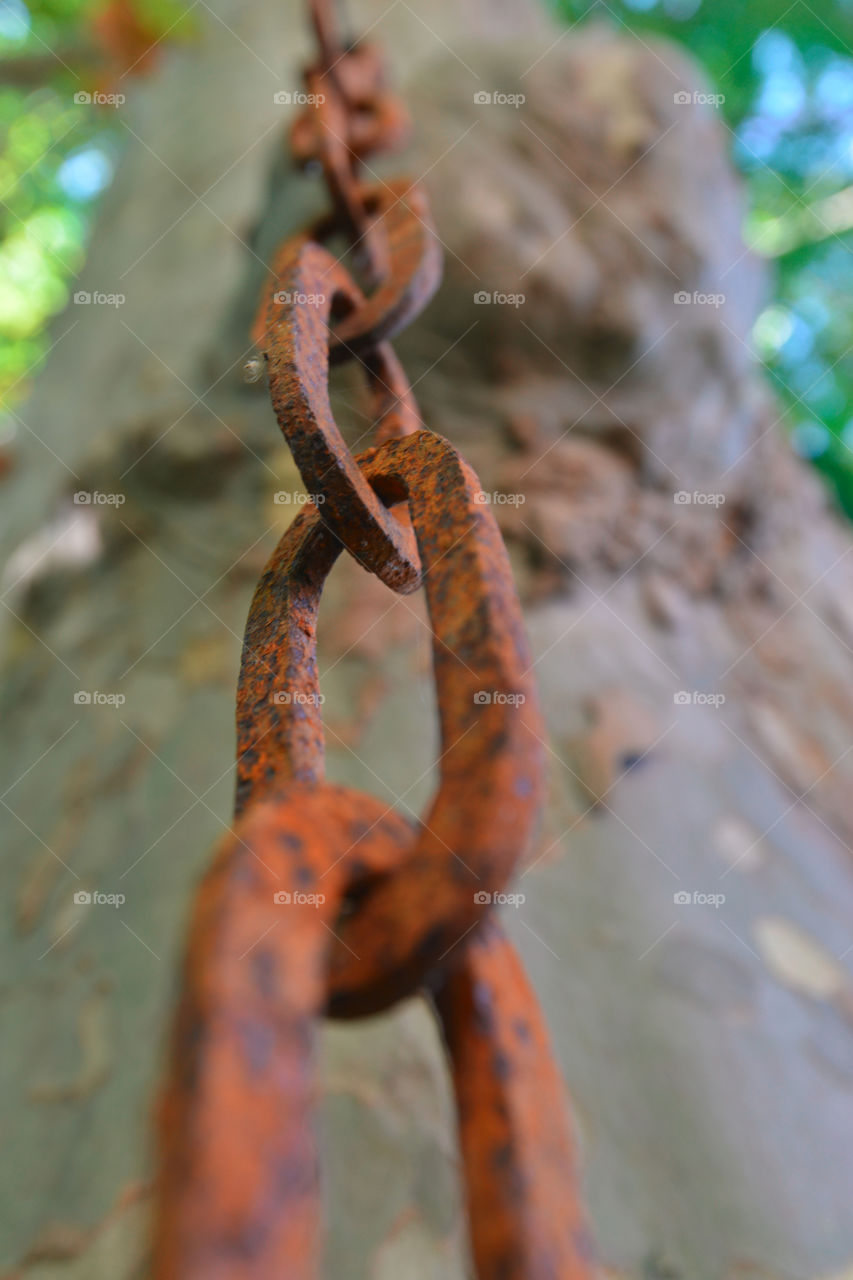 Chain link. week-end at the cottage