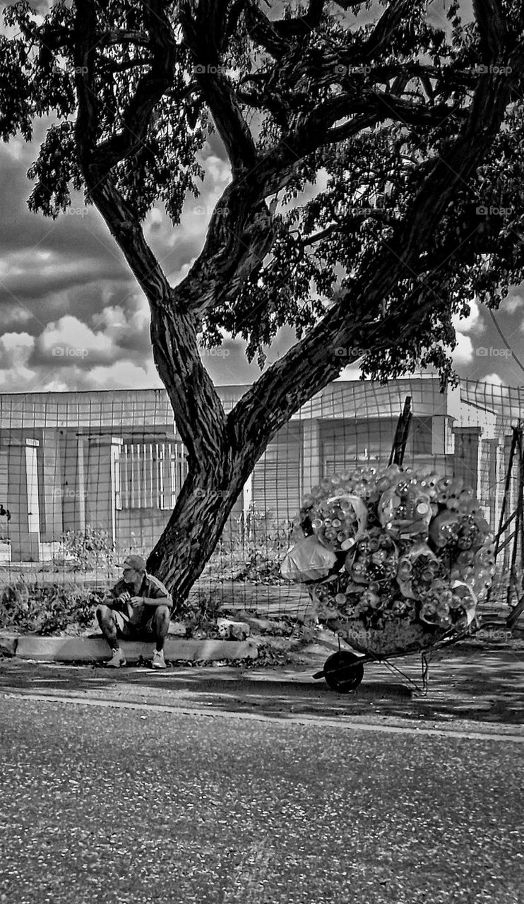 the plastic collector