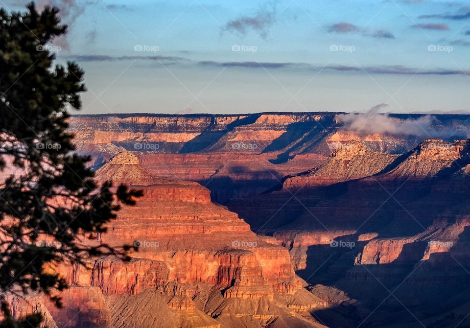 Red rocks of the grand canyon