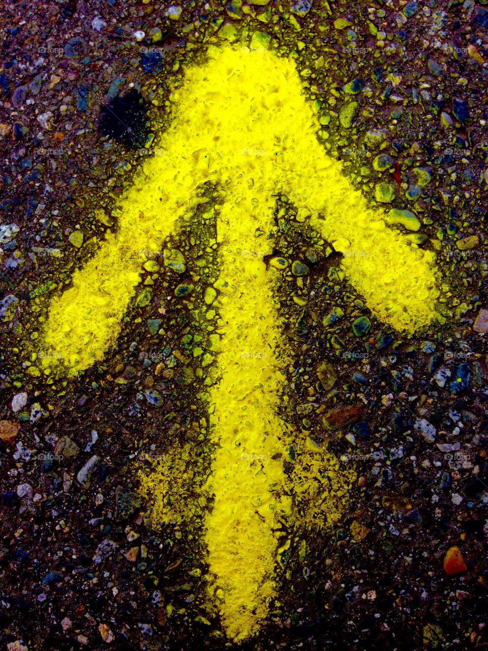 Sometimes I follow these just to see where I go. 