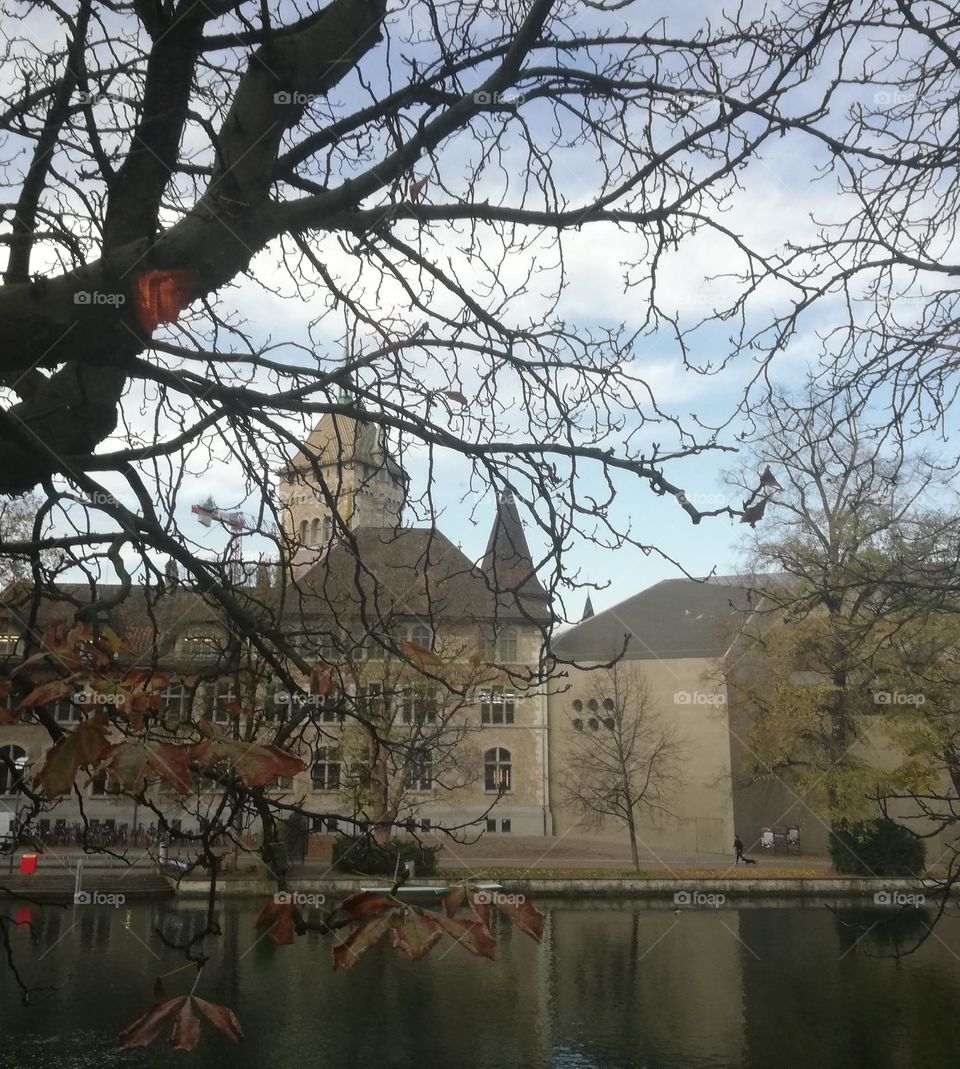 A shot of a magnificent building in front of a river, with the orange leaves of the tree and the reflections on the water giving the feeling of a peaceful and calmful November.