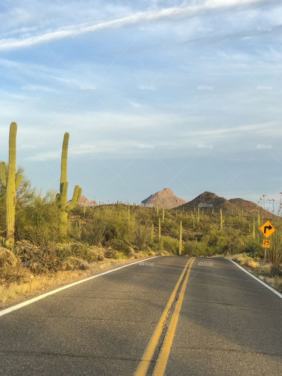 Nature - Desert Landscape Road Trip 