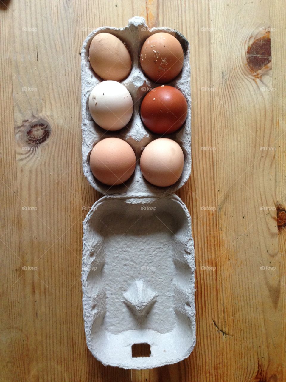 Fresh Organic Eggs Box. Various size of fresh eggs from the local farm 