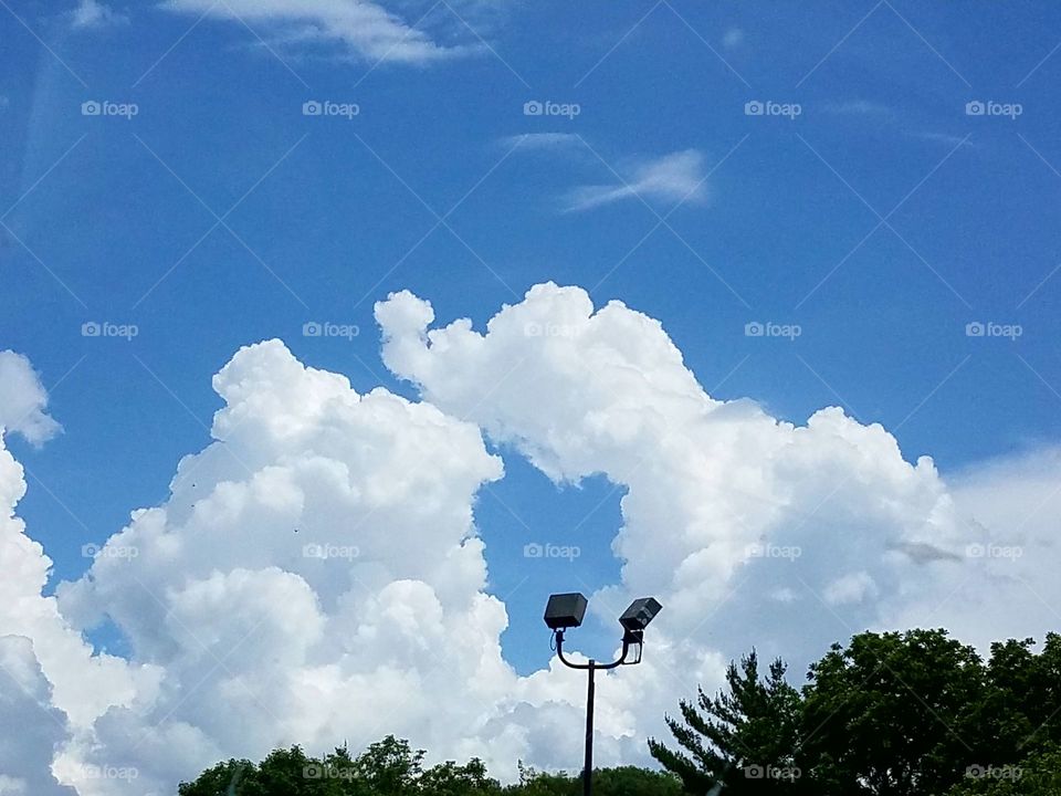 Driving the Back Roads and enjoying everything around us