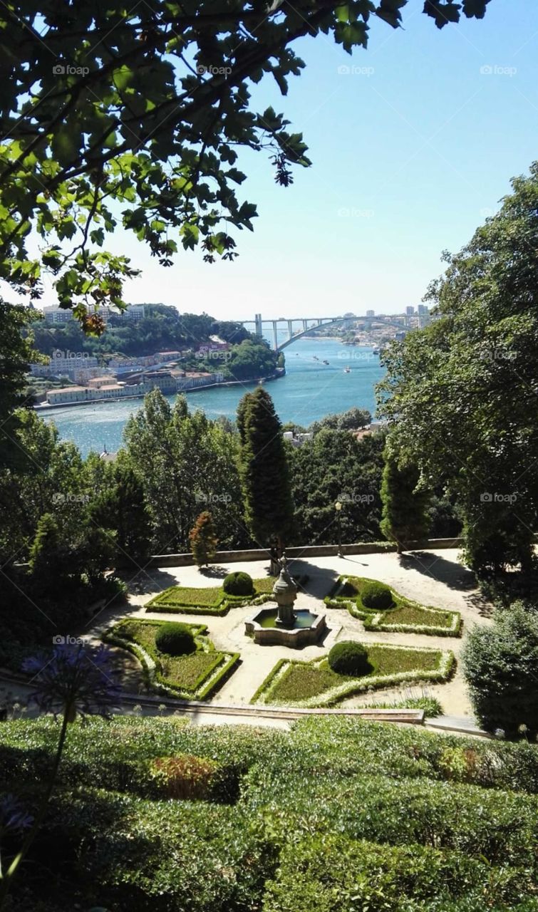 Beauty 
Beautiful 
Porto
Portugal 
Garden 
Park