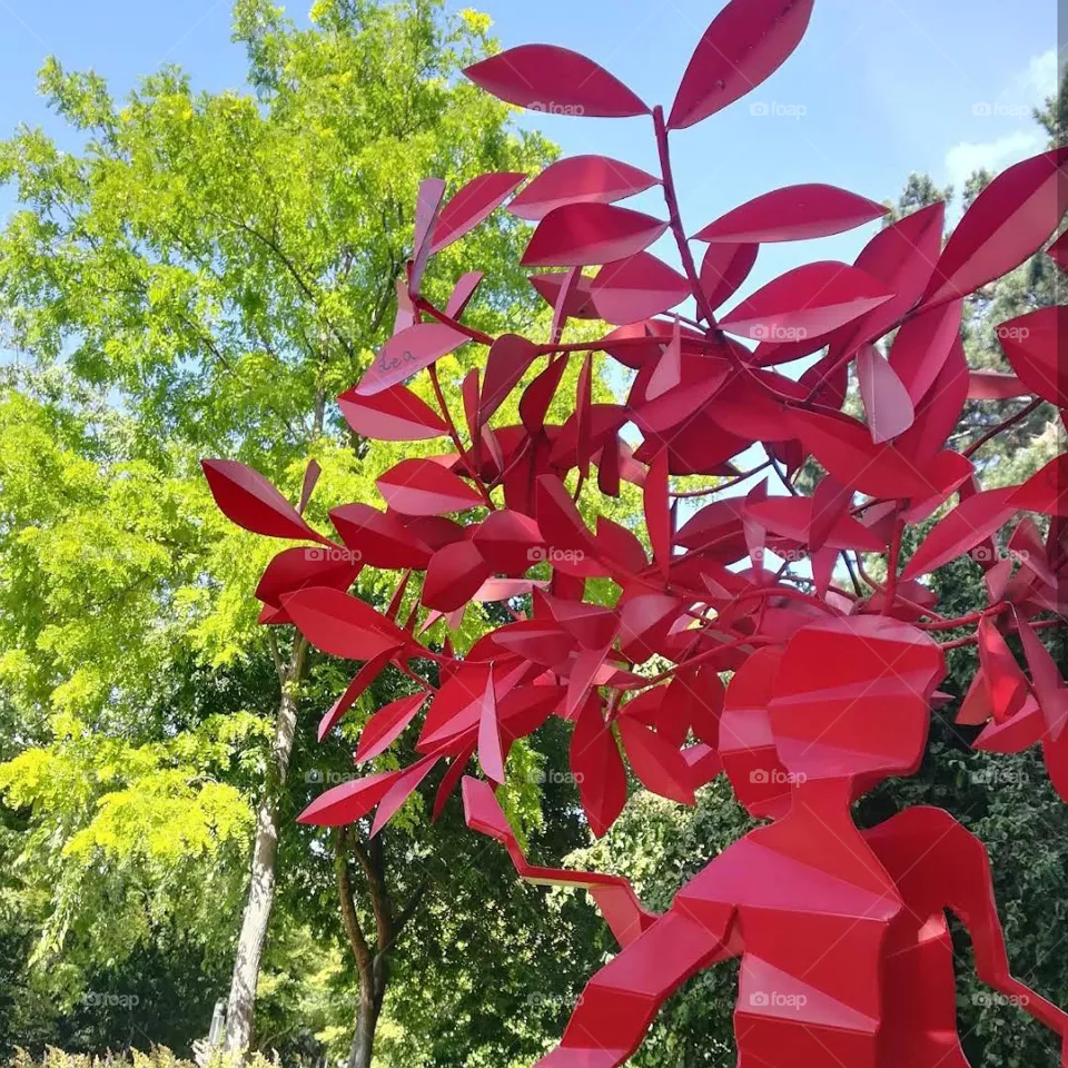 flowers red vs flowers green