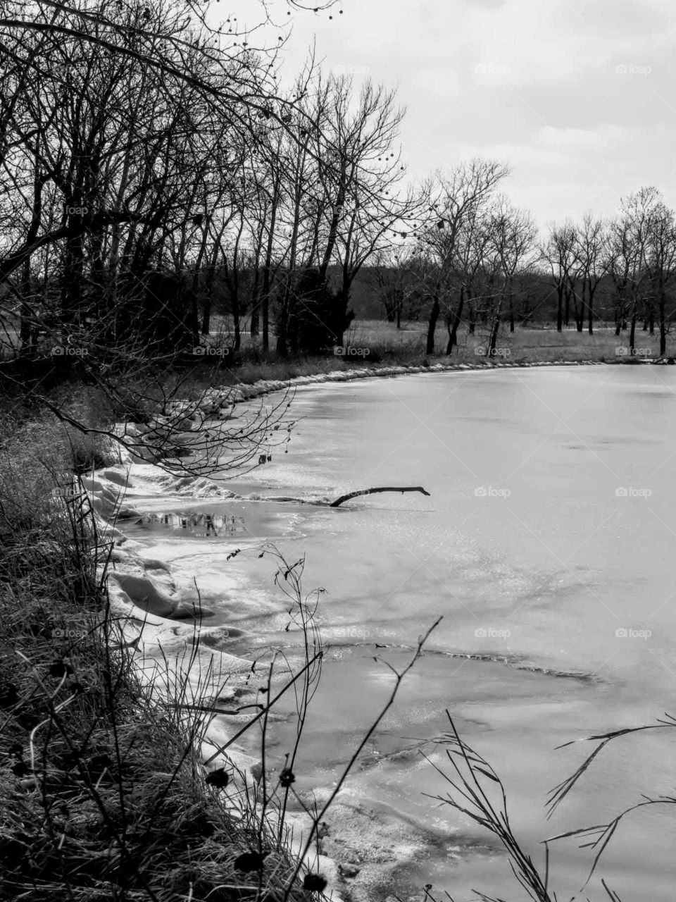 Beautiful Black and White Photo of Frozen Lake and Bare Trees "Frozen World"