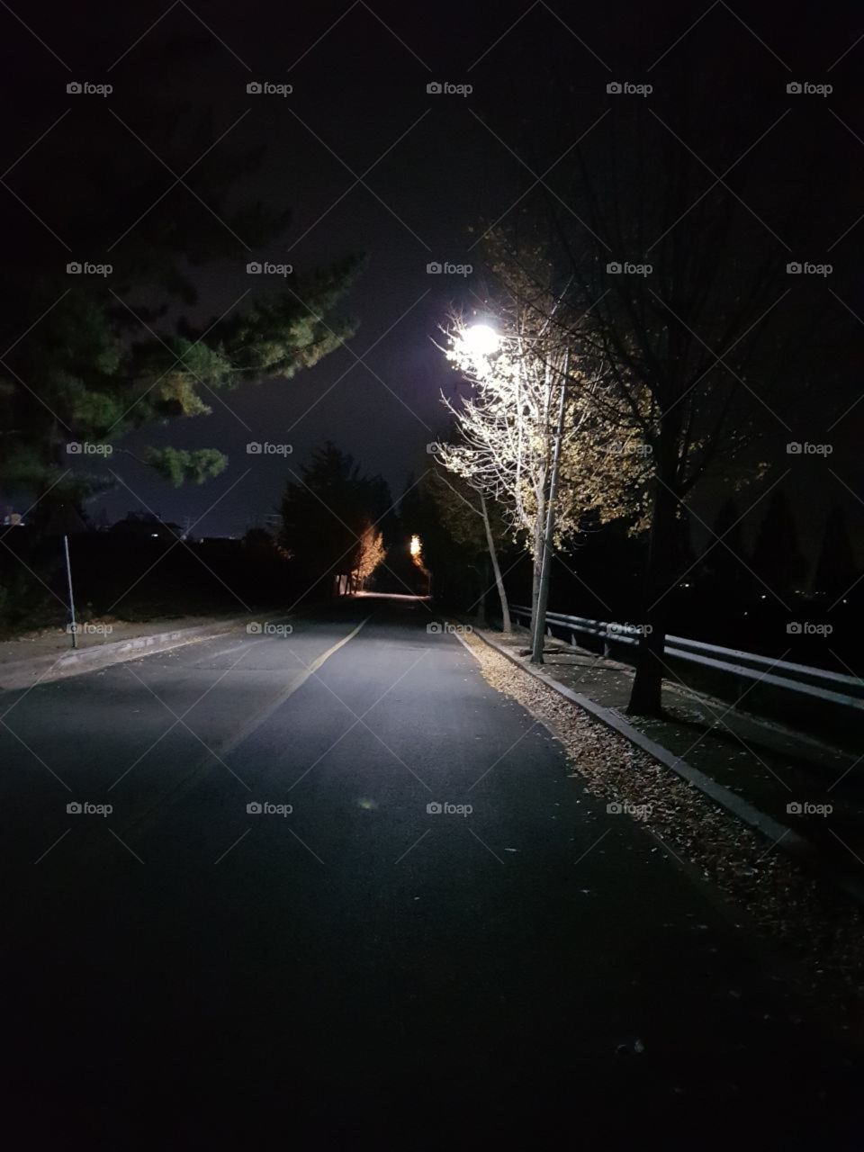 night on road 
walking on night & road 
road &night & me