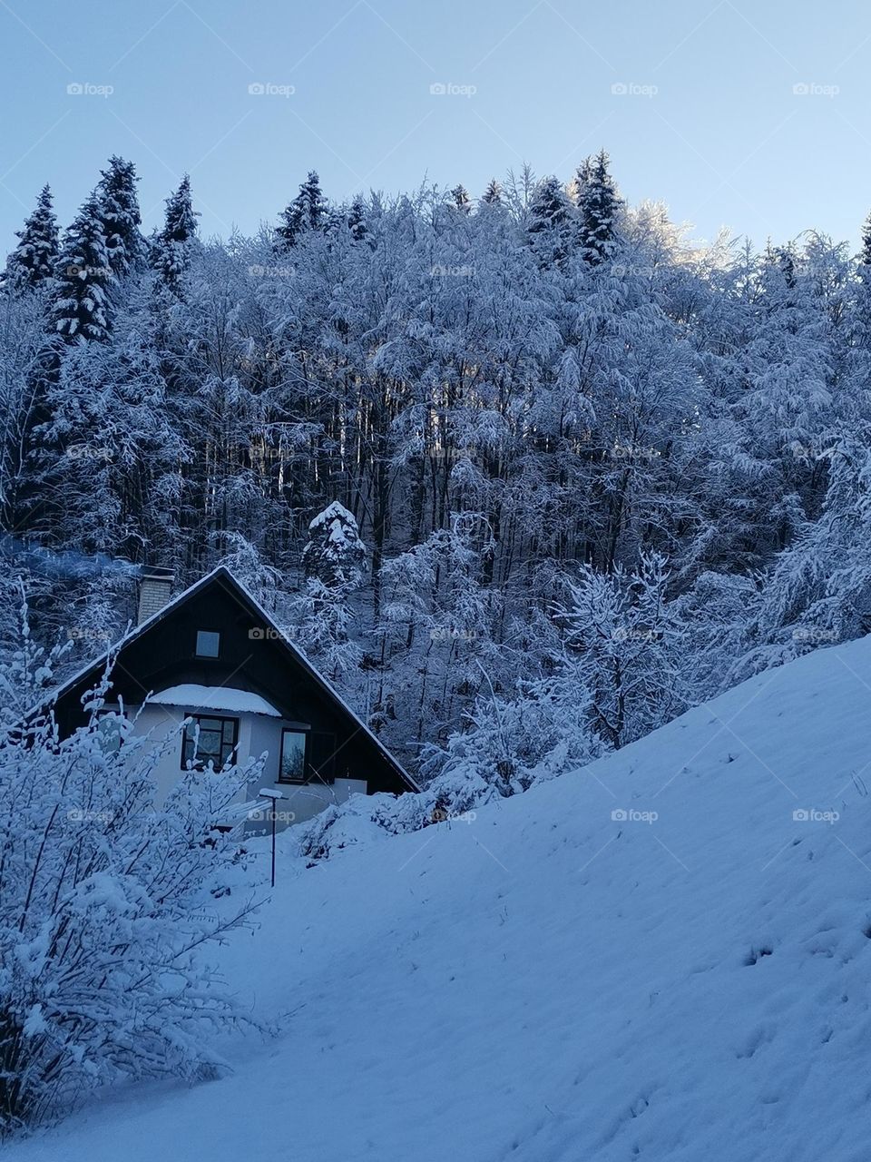 walking more into winter