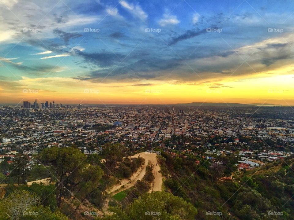 The City of LA