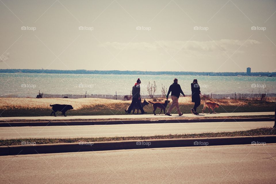 Dog Walking by the Lake